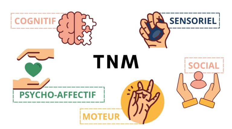 Les TNM réponses aux besoins