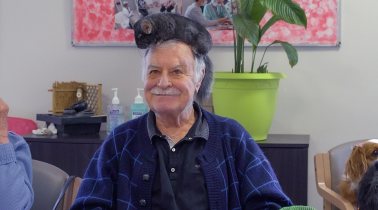 projet d'animations en ehpad